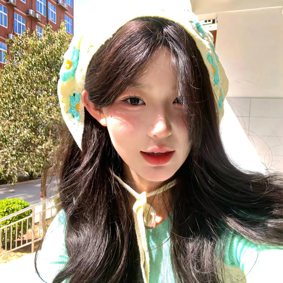 巴德美因霍夫封面